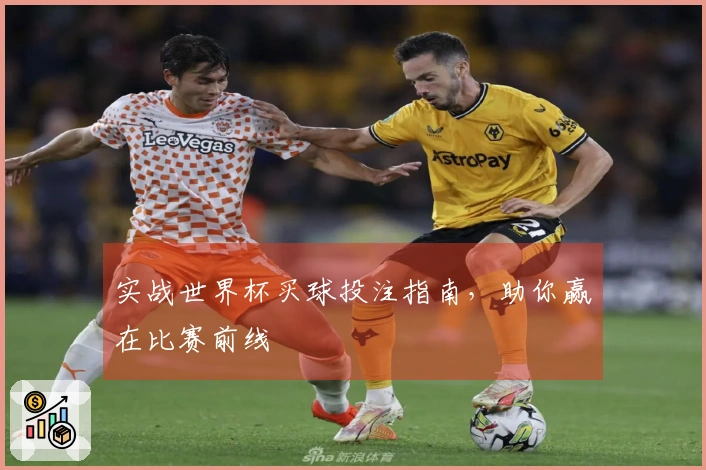 实战世界杯买球投注指南，助你赢在比赛前线