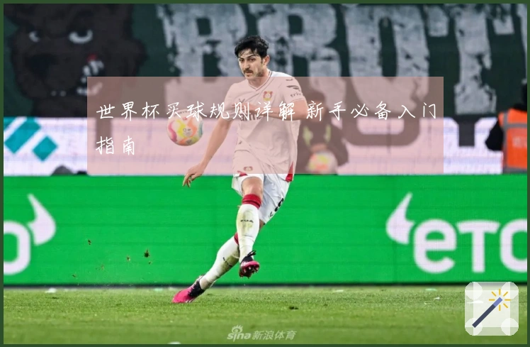 世界杯买球规则详解 新手必备入门指南